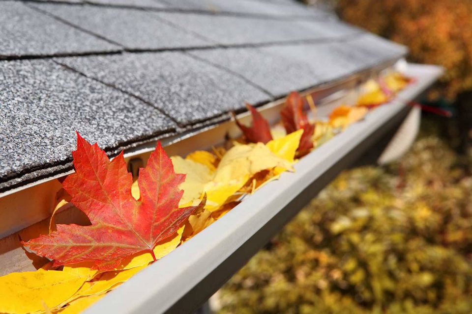 A house's rain gutter clogged with red and yellow leaves